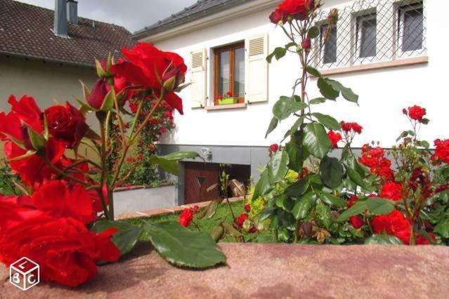 Colmar , Séjour calme chez l'habitant Esterno foto
