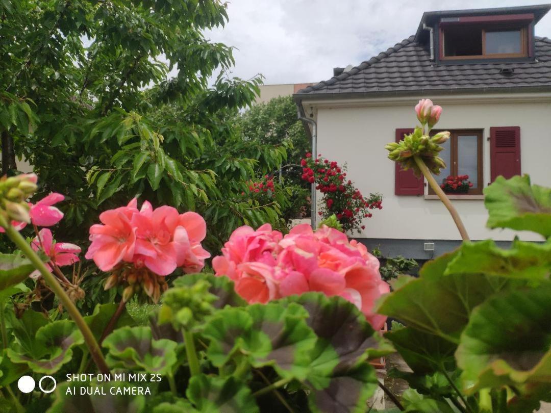 Colmar , Séjour calme chez l'habitant Esterno foto