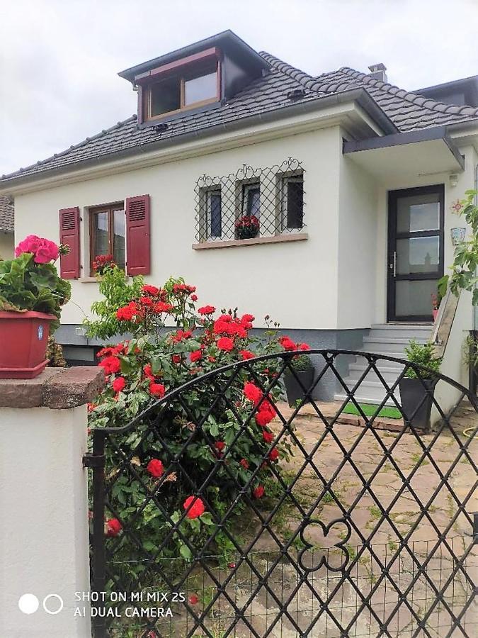 Colmar , Séjour calme chez l'habitant Esterno foto